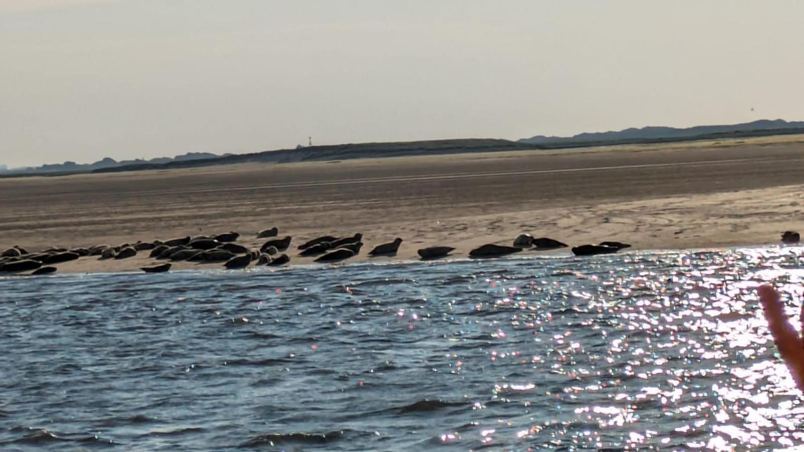 Drei-Insel-Blick Nessmersiel Exterior photo